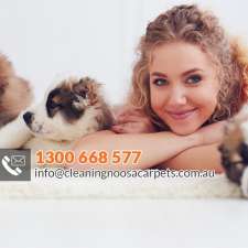 New Life Carpet Cleaning | 4 Livistona Dr, Doonan QLD 4562, Australia