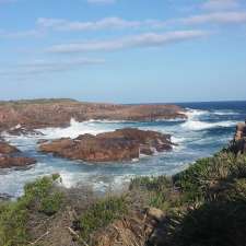 Tilligerry National Park | Lemon Tree Passage Rd, Salt Ash NSW 2318, Australia