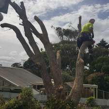 Fleurieu Tree Lopping And Removal | 30 Chapman Rd, Middleton SA 5213, Australia