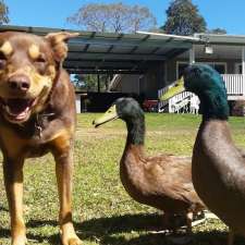 Sussex Inlet Veterinary Surgery | 179 River Rd, Sussex Inlet NSW 2540, Australia