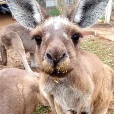 Bridgetown Wildlife Rescue Inc | 900 Greenbushes-Grimwade Rd, Balingup WA 6253, Australia