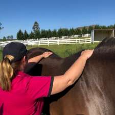 Synergistic Equine Therapies | 185 McKee Rd, Theresa Park NSW 2570, Australia