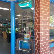 Reptarium | 1543-1545 Burwood Hwy, Tecoma VIC 3160, Australia