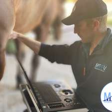 Margaret River Equine Vets | 11479 Bussell Hwy, Margaret River WA 6285, Australia