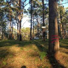 Jamax Forest Solutions | 45 Koree Island Rd, Beechwood NSW 2446, Australia