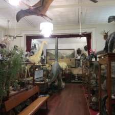 Museum of Natural History | 131 James St, Guildford WA 6055, Australia
