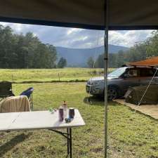 Yadboro State Forest | Establishment | Yadboro NSW 2539, Australia