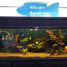 Allcoast Aquarium | 409 The Entrance Rd, Long Jetty NSW 2261, Australia