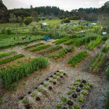 Fair harvest | 426 Carters Rd, Margaret River WA 6285, Australia