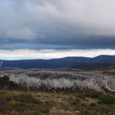 Heathy Spur Walking Track | Falls Creek VIC 3699, Australia