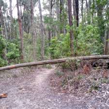 Uralla Nature Reserve | Trafalgar South VIC 3824, Australia