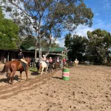 Palomino Riding School | 192 Forest Way, Belrose NSW 2085, Australia