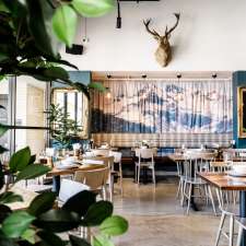 Salmon and Bear - Crows Nest | Shop5/105 Willoughby Rd, Crows Nest NSW 2065, Australia
