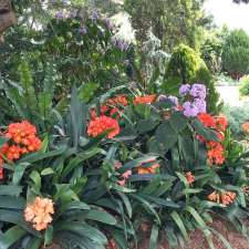 Plantation Plants | 24 Dallang Rd, Middle Ridge QLD 4350, Australia