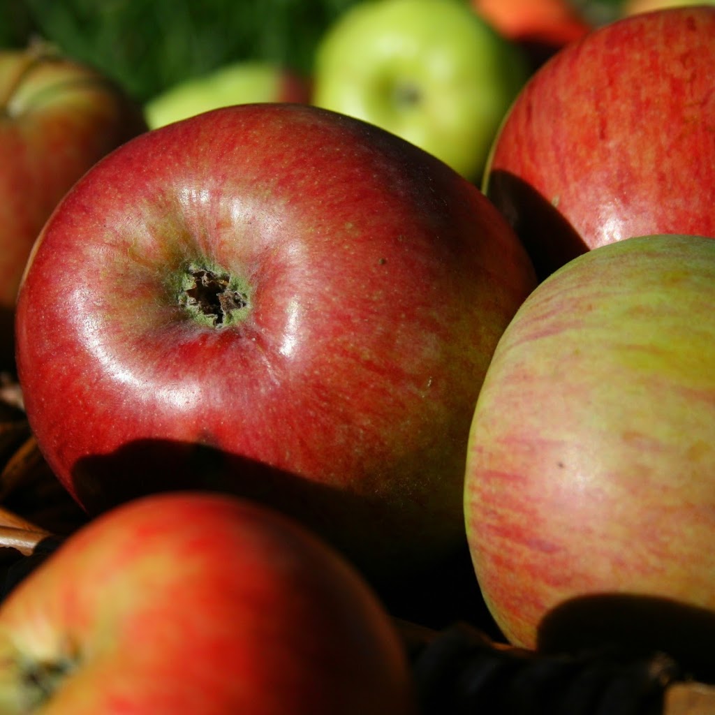 Denmark Heritage Cider Co (218 Glenrowan Rd) Opening Hours