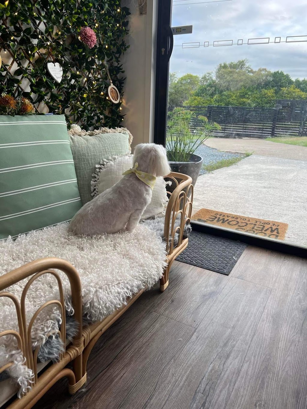 Furry Friendz - Personalised Dog Grooming | 14 Sycamore St, Redland Bay QLD 4165, Australia | Phone: 0459 129 289