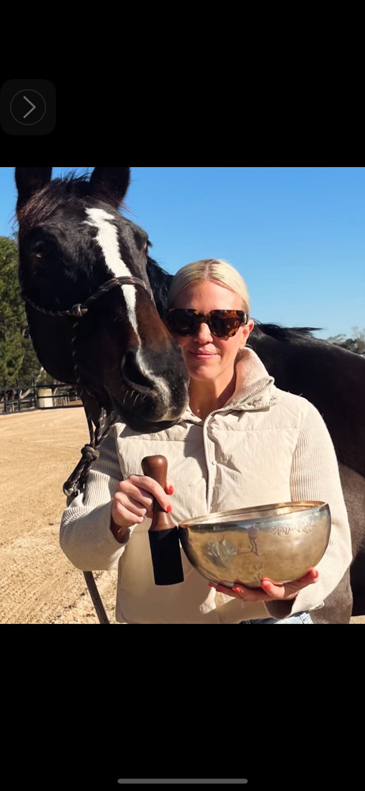 Mornington Peninsula Equine Assisted Therapy | 251 Coolart Rd, Tyabb VIC 3913, Australia | Phone: 0400 028 358