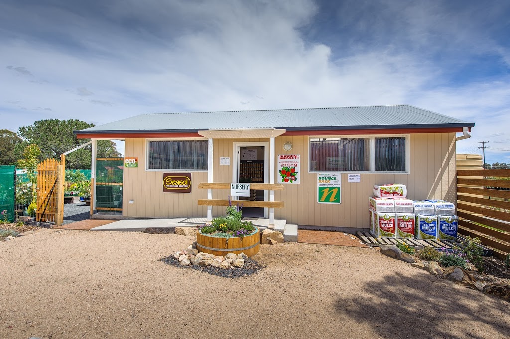 Little Ladybird Plant Nursery | 164 Bridge St, Uralla NSW 2358, Australia | Phone: (02) 6778 3098