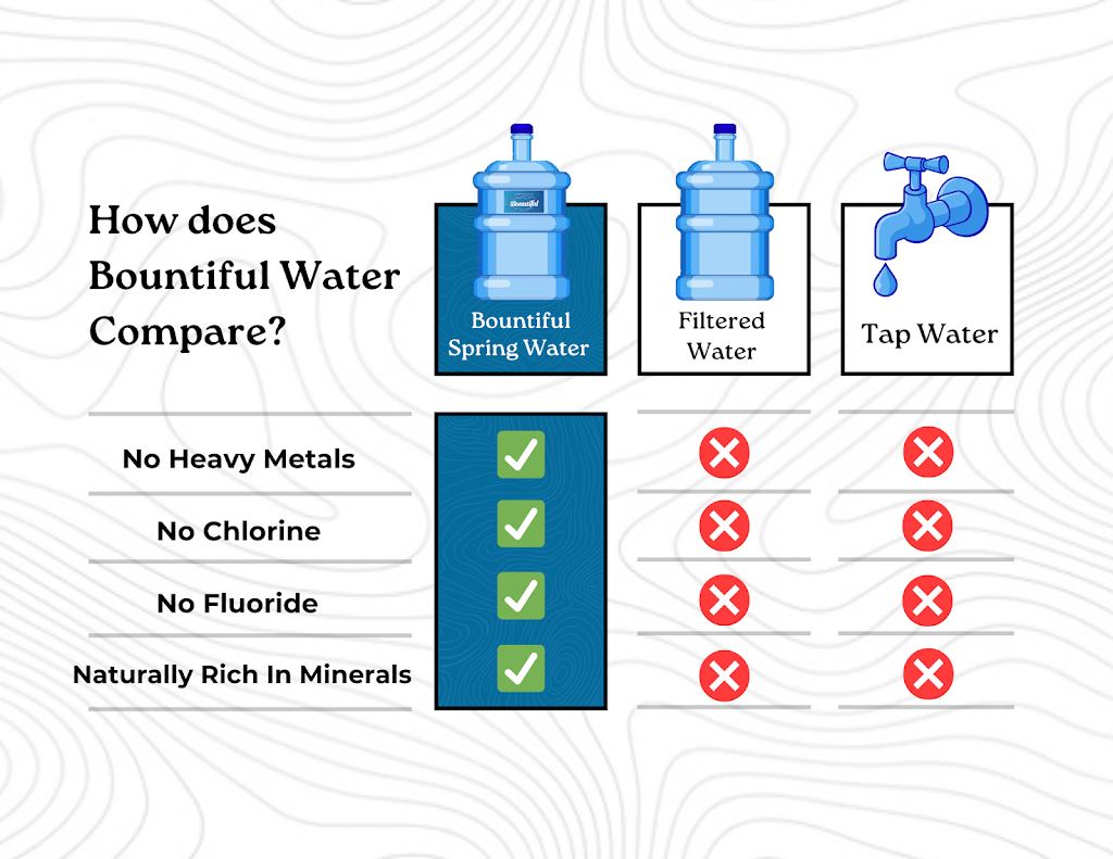 Bountiful Water | 1366 Currumbin Creek Rd, Currumbin Valley QLD 4223, Australia | Phone: 0478 511 759