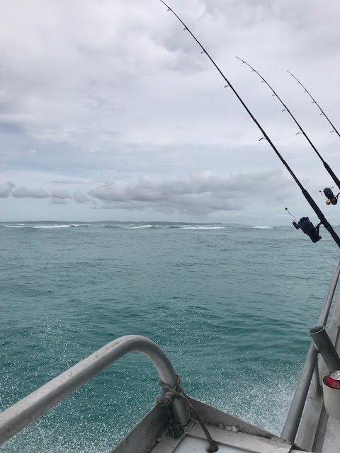 Moreton Island Fishing Charters | Wyvernleigh Cl, Manly QLD 4179, Australia | Phone: 0413 128 056