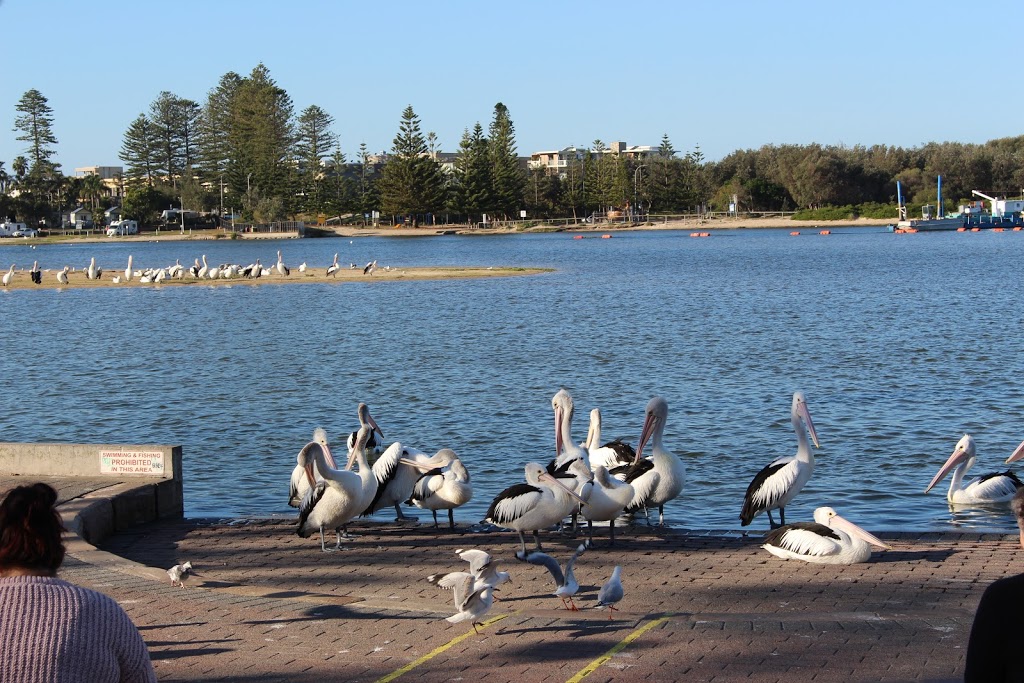 Bennys B&B | 3 Hoban Road Huntlee, North Rothbury NSW 2335, Australia | Phone: 0448 444 040