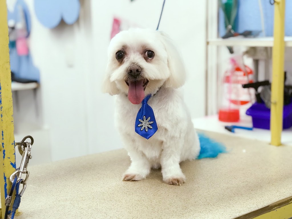 Hairy Tails Dog Grooming Boutique | store | 268 Rode Rd, Wavell Heights QLD 4012, Australia | 0433031352 OR +61 433 031 352