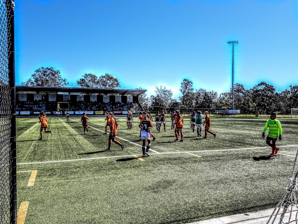 Camden Tigers Soccer Club |  | Ron Dine Memorial Reserve, McCrae Dr, Camden South NSW 2570, Australia | 0413889180 OR +61 413 889 180