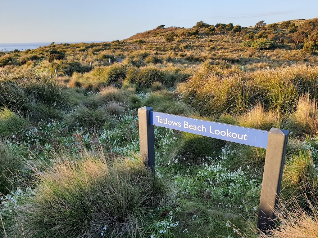 Tatlows Beach Lookout | The Nut Summit Cct, Stanley TAS 7331, Australia