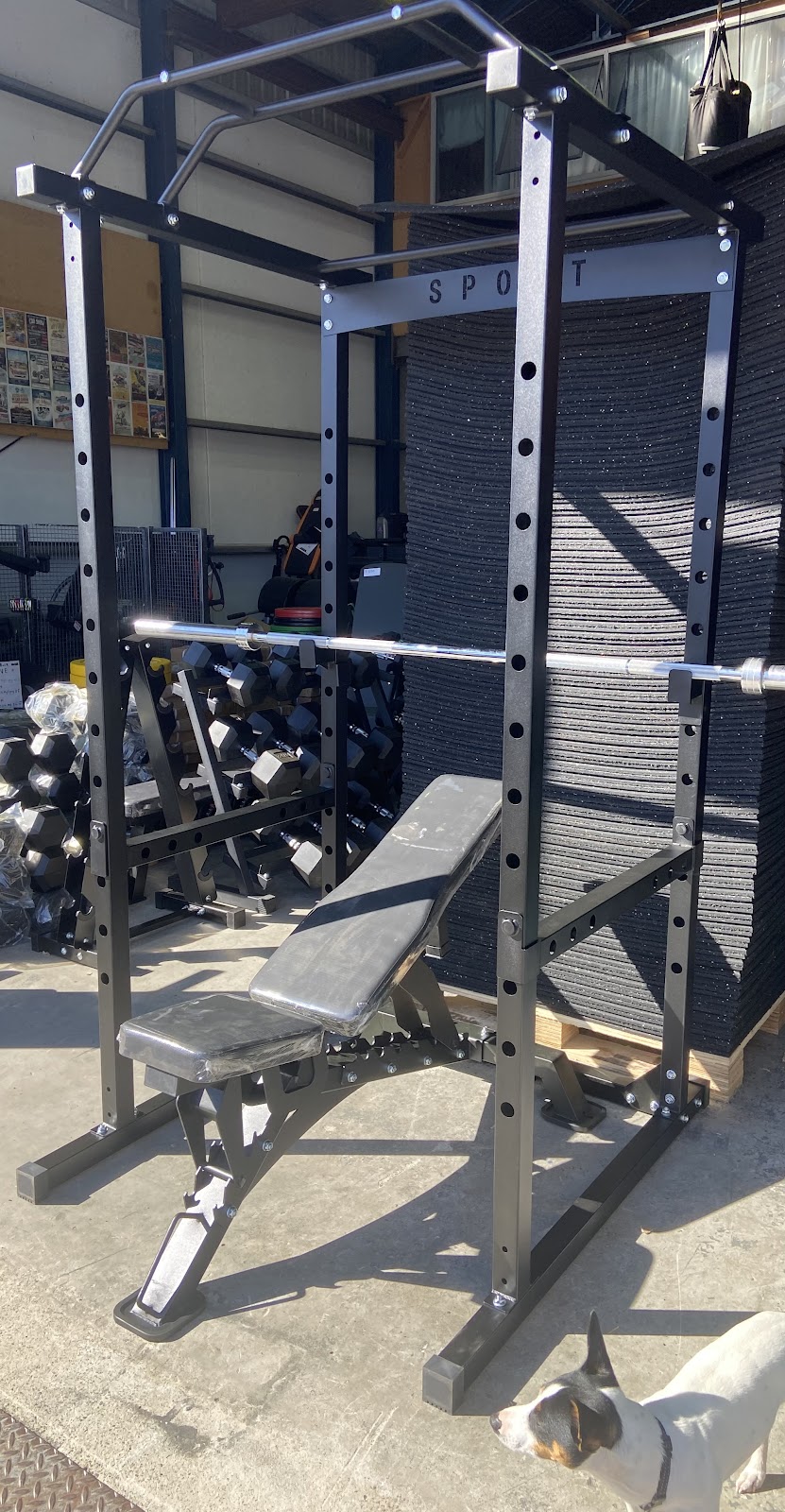 Just Gym Gear | 3 Ascot Dr, Huntingfield TAS 7055, Australia | Phone: 0467 875 568