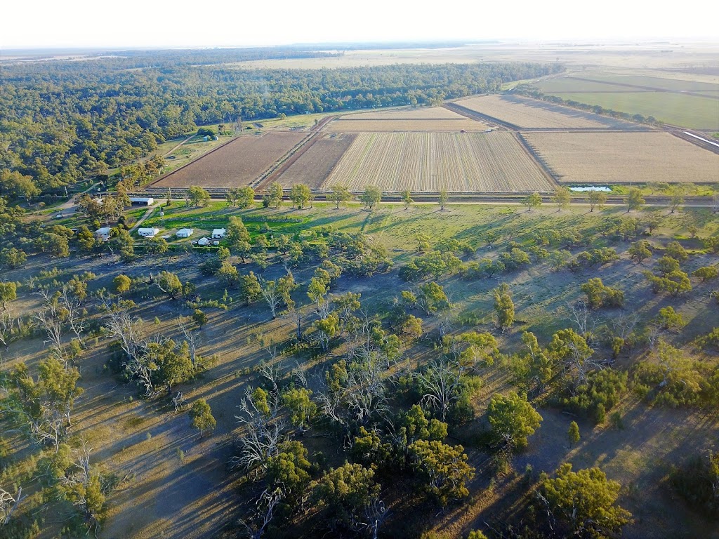 Coonara Farming | 4952 Murrumbidgee River Rd, Carrathool NSW 2711, Australia | Phone: (02) 6993 5012