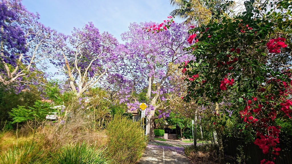 Cordia Way | park | Smith Rd, Artarmon NSW 2064, Australia