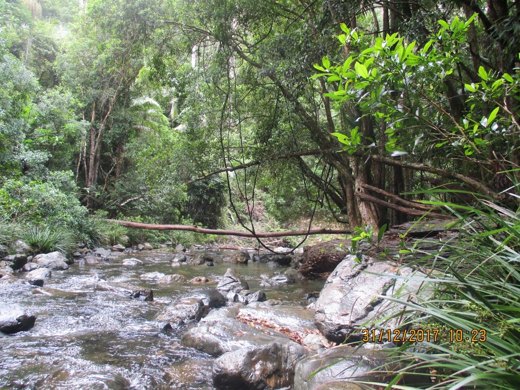 Bindarri National Park | park | Upper Orara NSW 2450, Australia