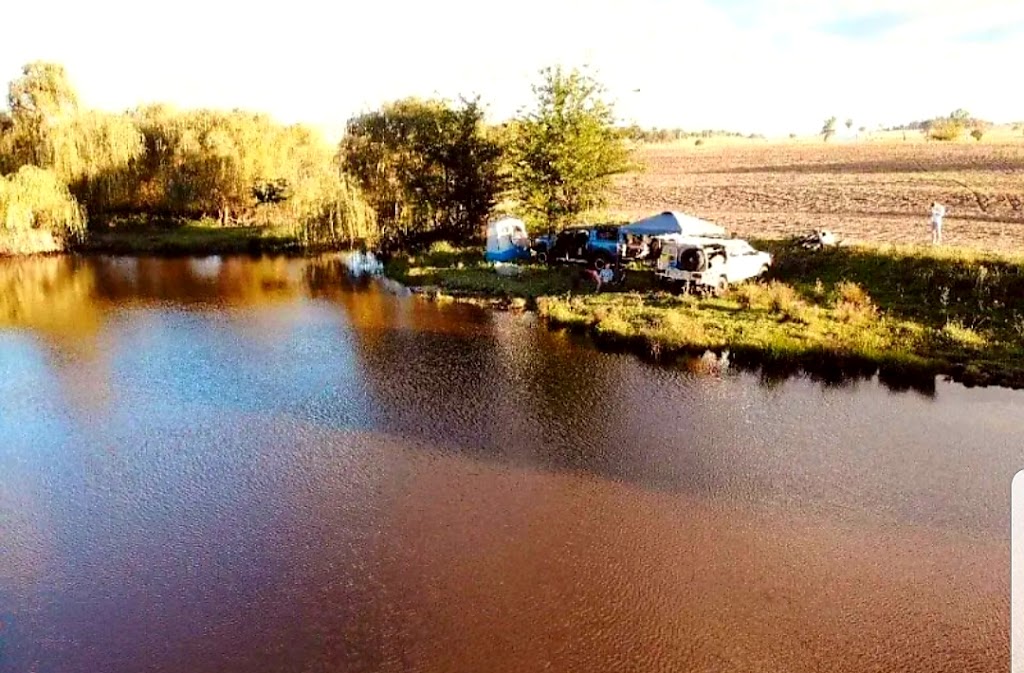 Fernlee River Camping | campground | 557 Pindari Dam Rd, Ashford NSW 2361, Australia | 0473358866 OR +61 473 358 866