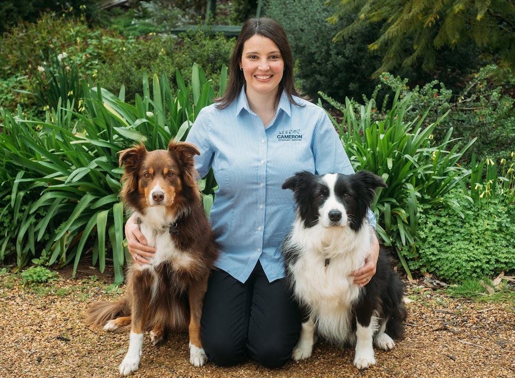 Cameron Veterinary Services | 4 Mullamar Way, Gawler East SA 5118, Australia | Phone: (08) 8318 1801