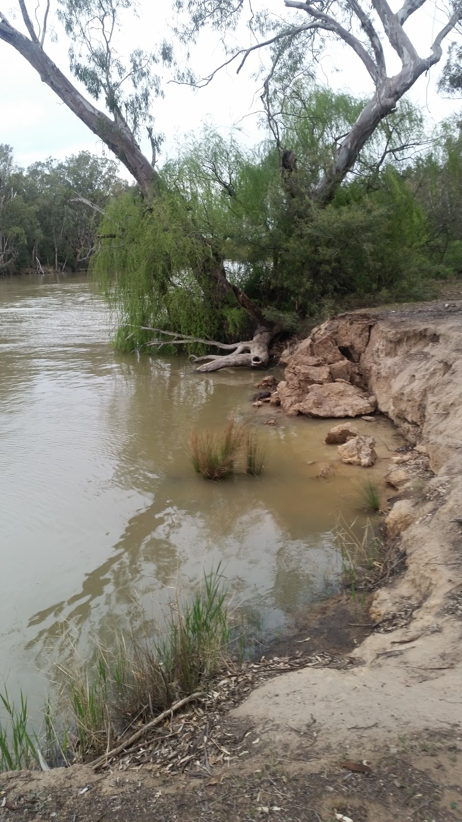 Gunbower National Park | Leitchville VIC 3567, Australia