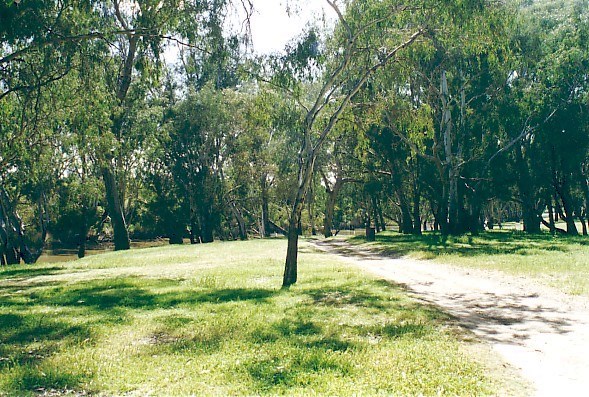 Newbridge Loddon River Camp Ground | campground | 64 Burke St, Newbridge VIC 3551, Australia