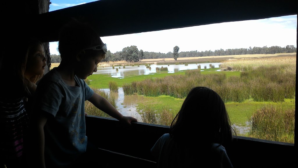 Reed Beds Bird Hide, Murray Valley National Park | Mathoura NSW 2710, Australia