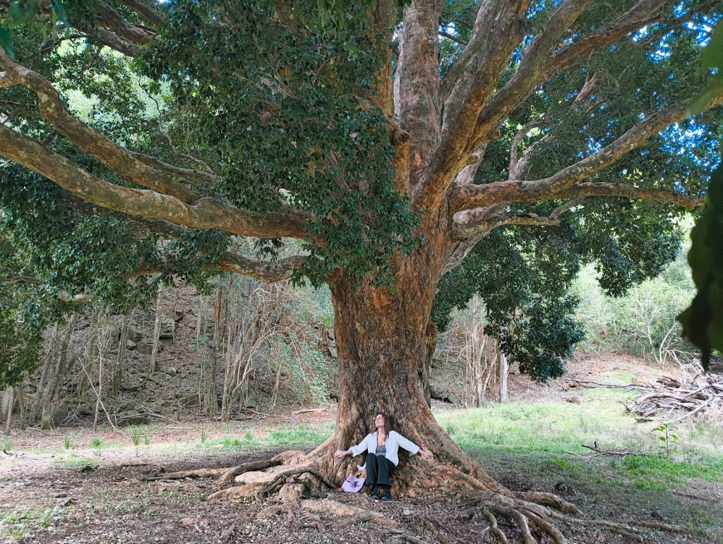 Biodanza School of Australia at Pumulani | 236 Graydon Rd, Corndale NSW 2480, Australia | Phone: 0477 800 001