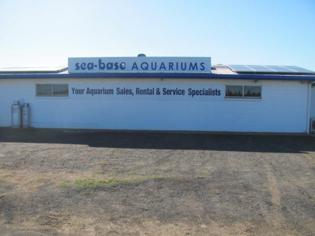 Sea Base Aquariums | 67 Bells Rd, Woongarra QLD 4670, Australia | Phone: (07) 4151 3966