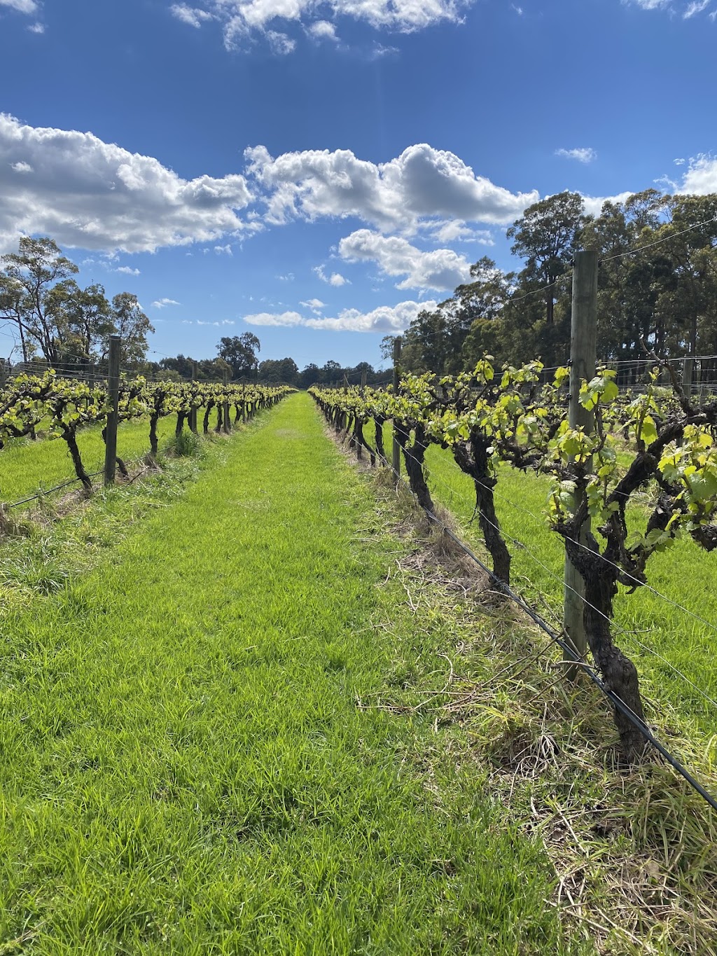 Crooked Brook Wines | point of interest | 566 Crooked Brook Rd, Crooked Brook WA 6236, Australia | 0403765015 OR +61 403 765 015