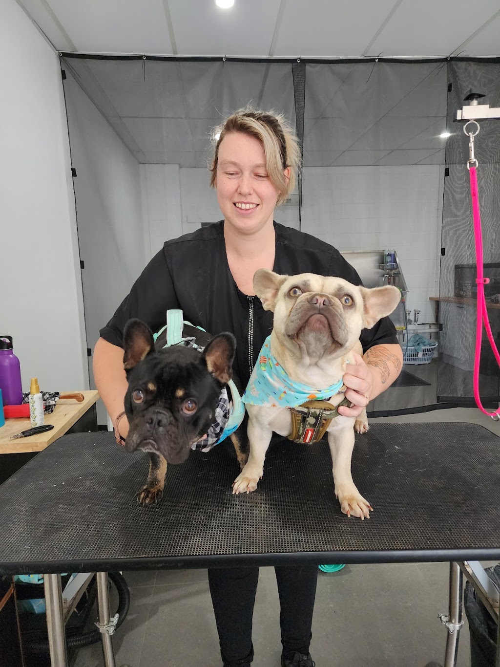 Picture Perfect Pets | shop 10 4/8 Walters St, Lowood QLD 4311, Australia | Phone: 0481 156 155