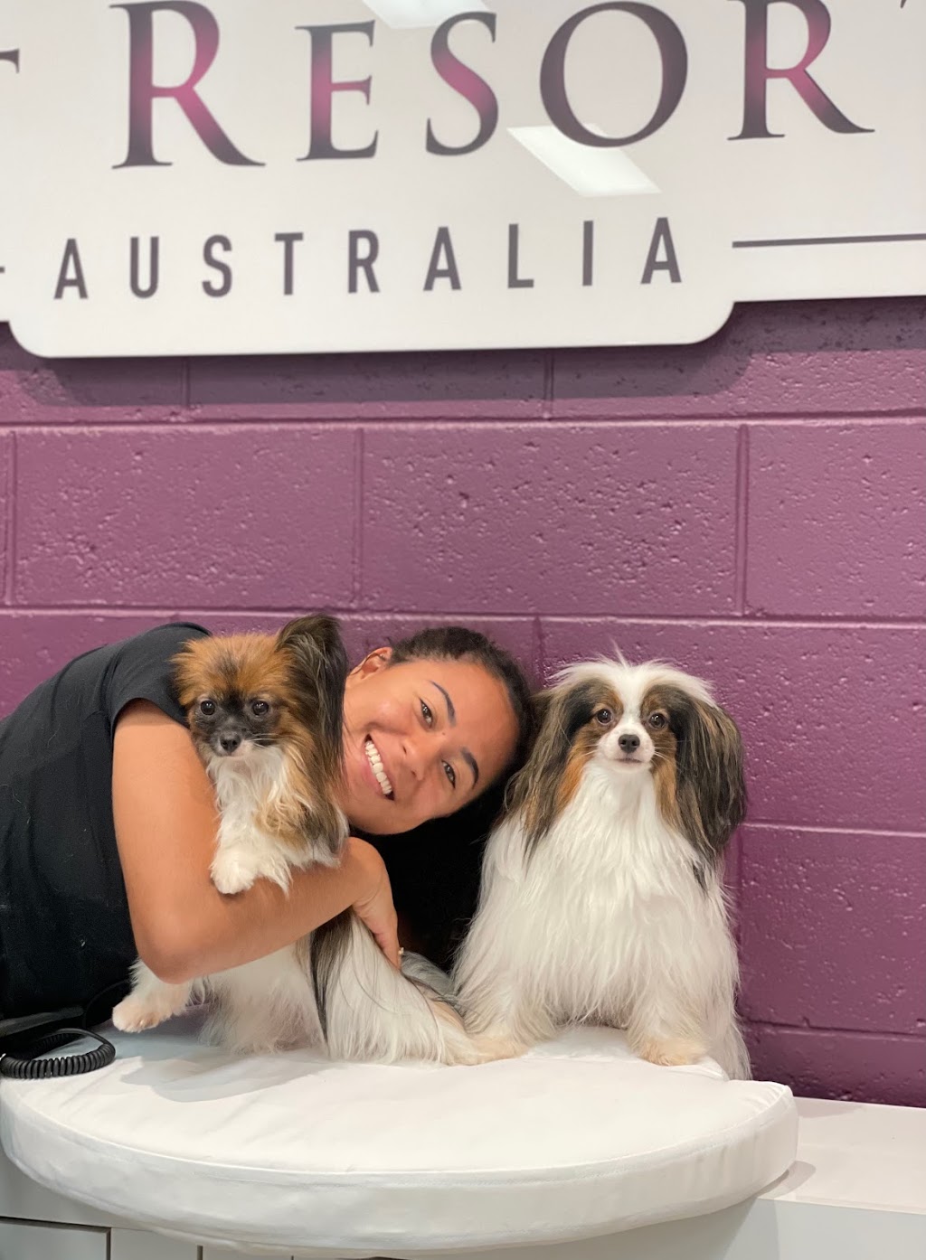 Pet Resorts Australia Ingleside | 11 Cicada Glen Rd, Ingleside NSW 2101, Australia | Phone: (02) 8355 7388