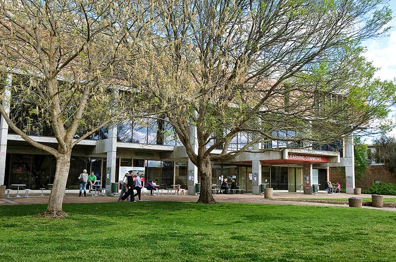 Charles Sturt University | university | Panorama Ave, Bathurst NSW 2795, Australia | 1800334733 OR +61 1800 334 733