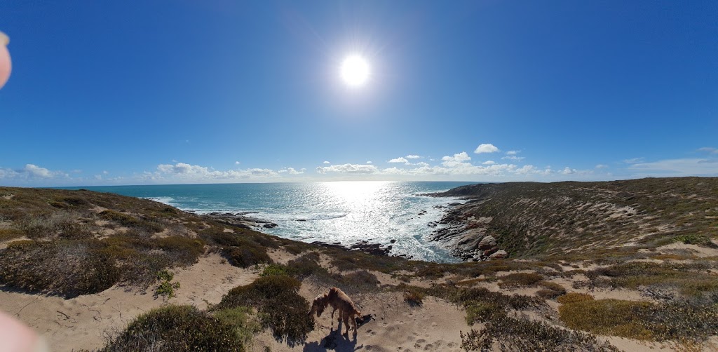 Swincers Rocks Camping Grounds | Corny Point SA 5575, Australia