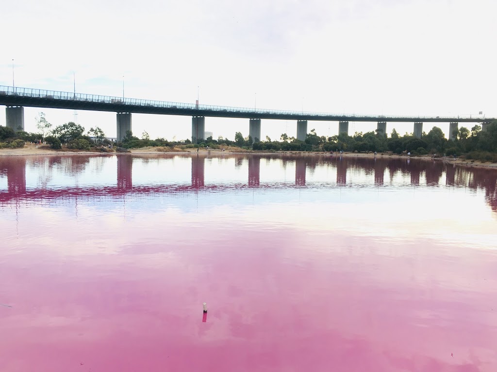 Pink lake Melbourne | park | 4 Wharf Rd, Port Melbourne VIC 3207, Australia