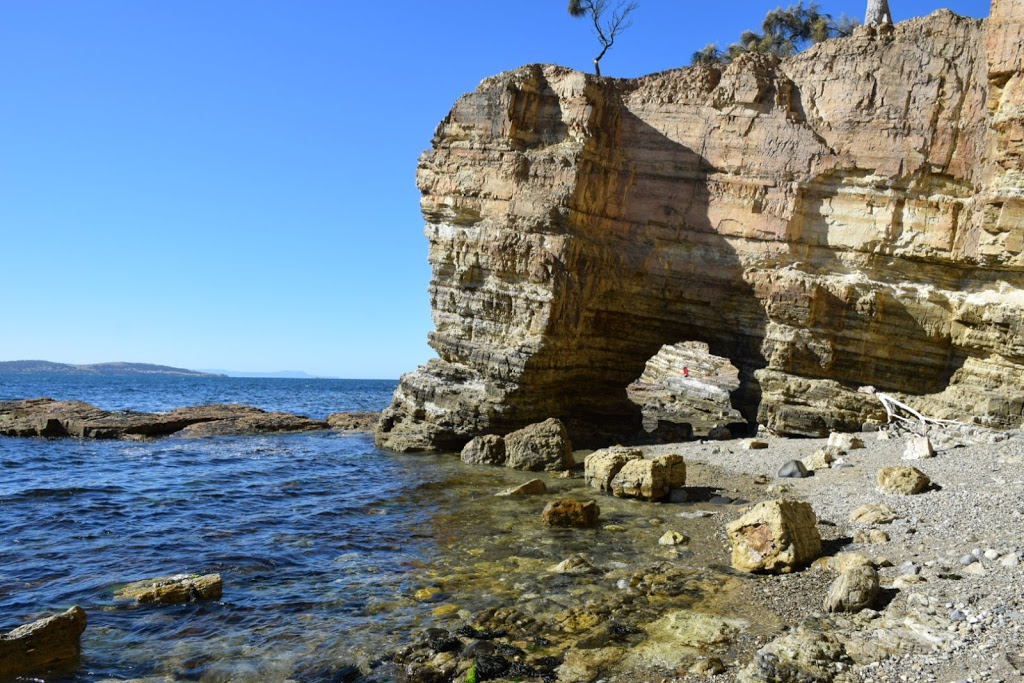 Fossil Cove Conservation Area | park | Tasmania, Australia