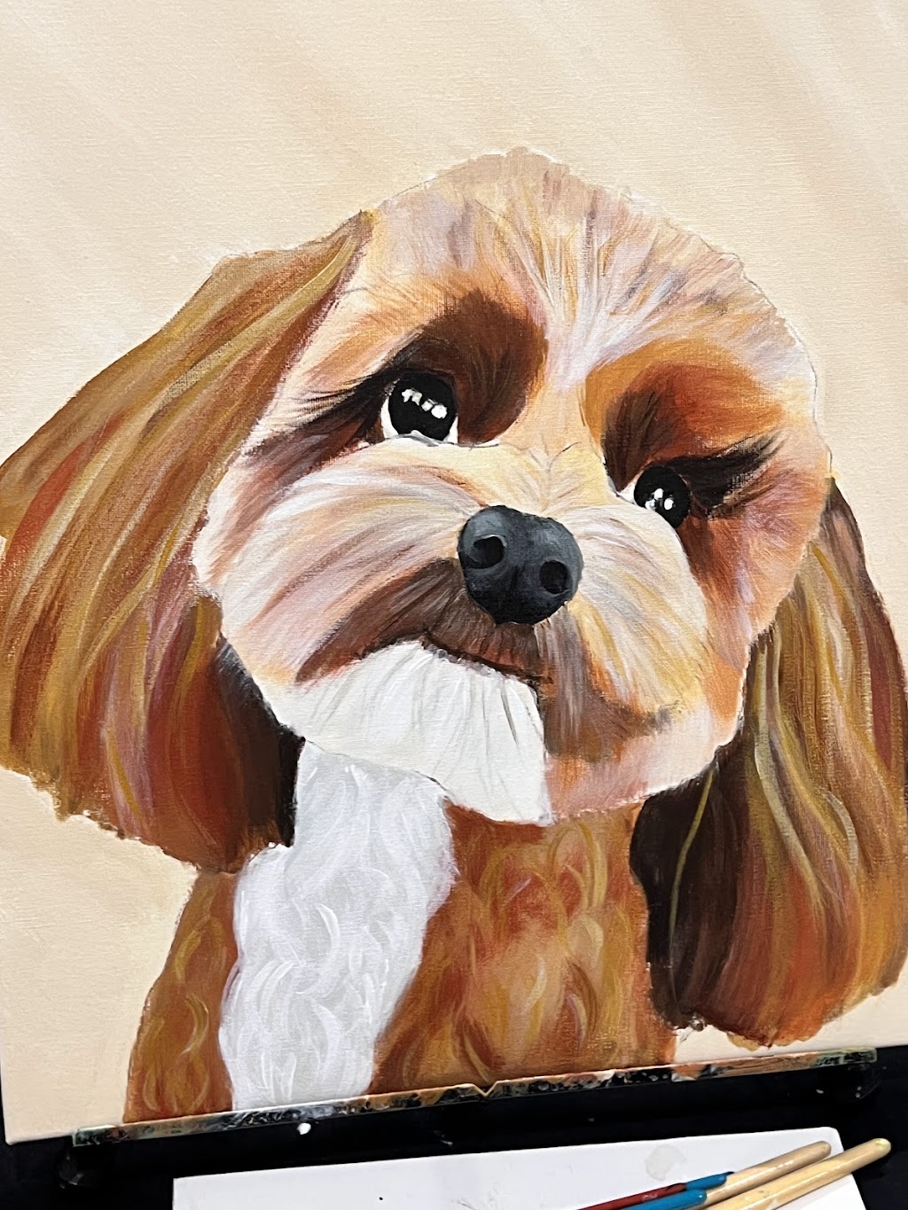 pinot-pet-casso | The Piazza, Wentworth Point NSW 2127, Australia | Phone: 0410 577 619