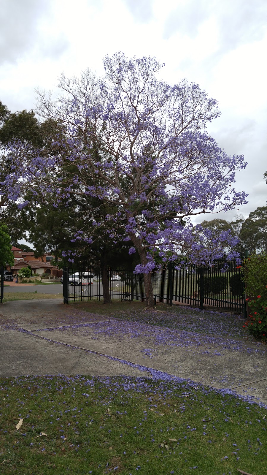 Kingdom Hall of Jehovahs Witnesses, Bonnyrigg | 49-51 Brown Rd, Bonnyrigg NSW 2177, Australia | Phone: (02) 9610 4796