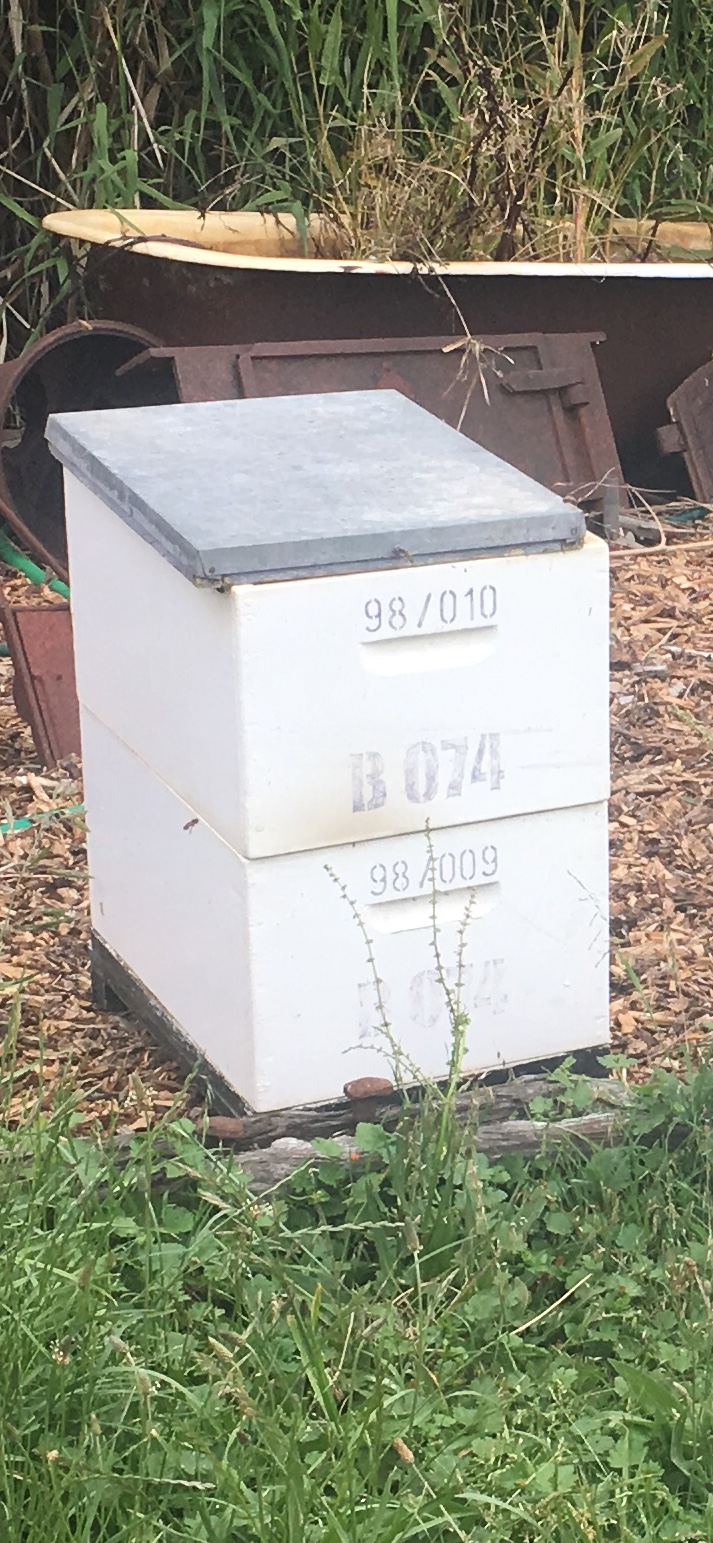 Northern Beekeeping farming | Australia only call to remove, Bee swarms & advice, 75 Kinnear Rd, Mickleham VIC 3064, Australia | Phone: (03) 9745 2571