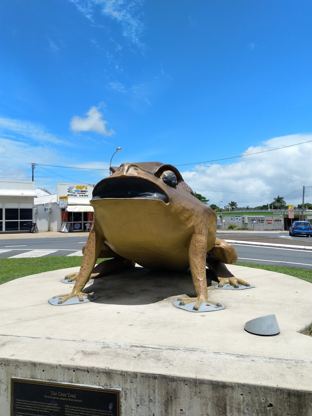 Sarina Big Cane Toad | museum | 48/46 Bruce Hwy, Sarina QLD 4737, Australia